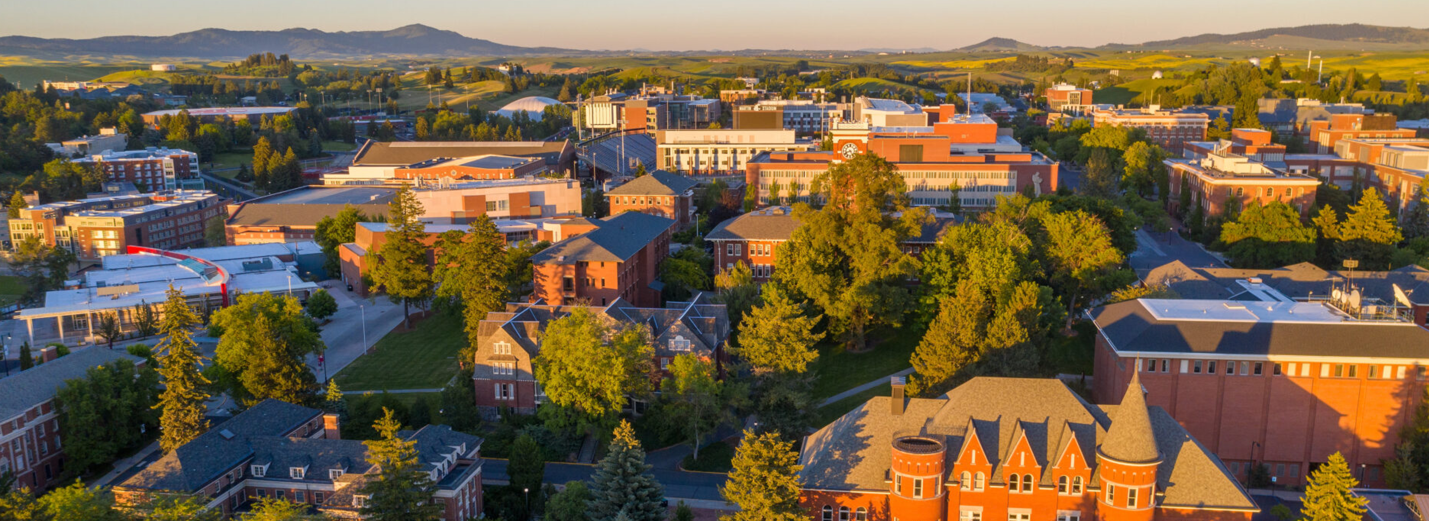 School page background image